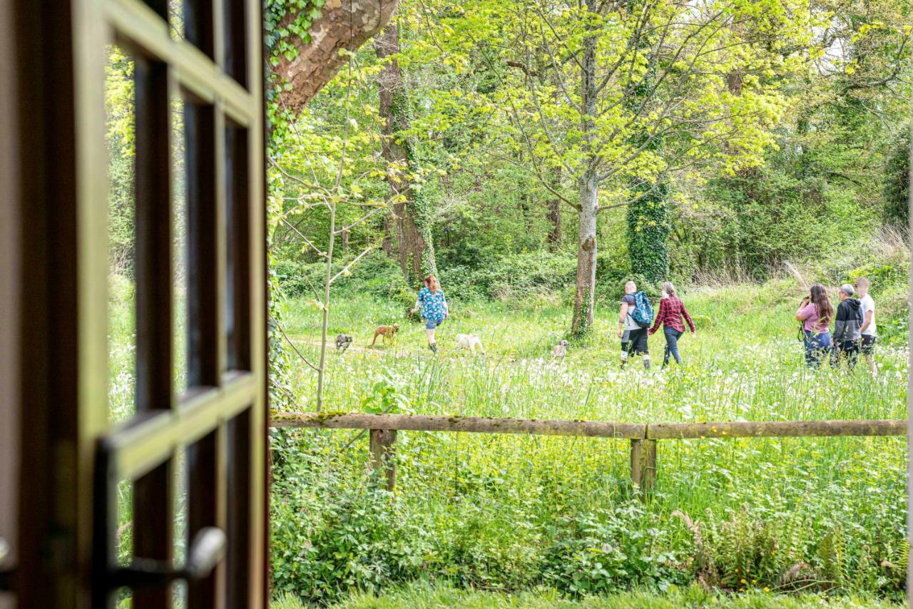 Maison De Charme A Proximite De Pau - 3 Chambres - 6 P - Jardin Sendets  Buitenkant foto